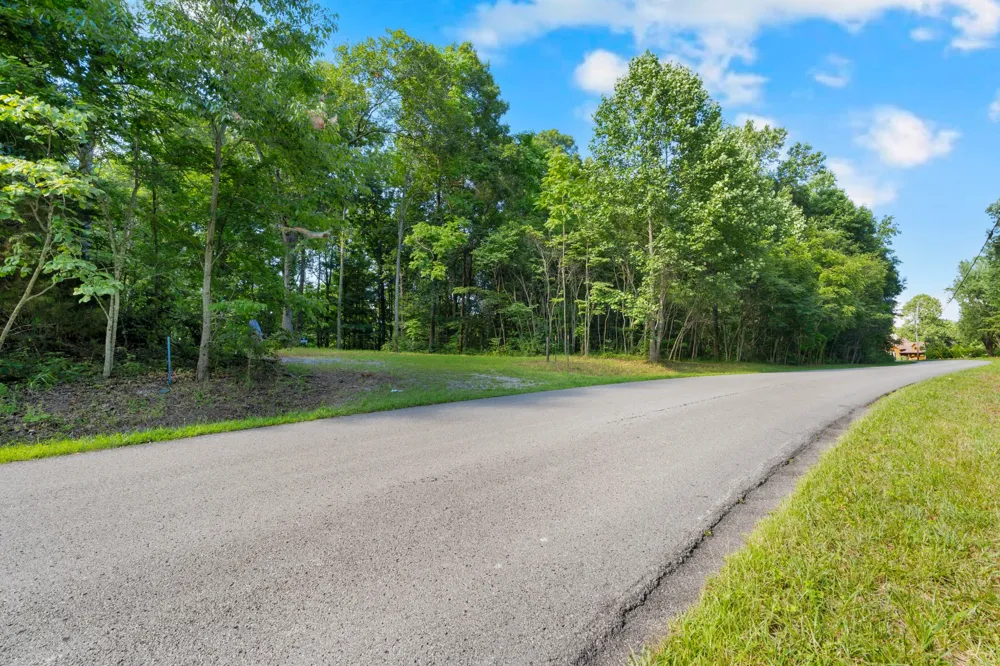 0 Coconut Ridge Road Smithville, TN 37166