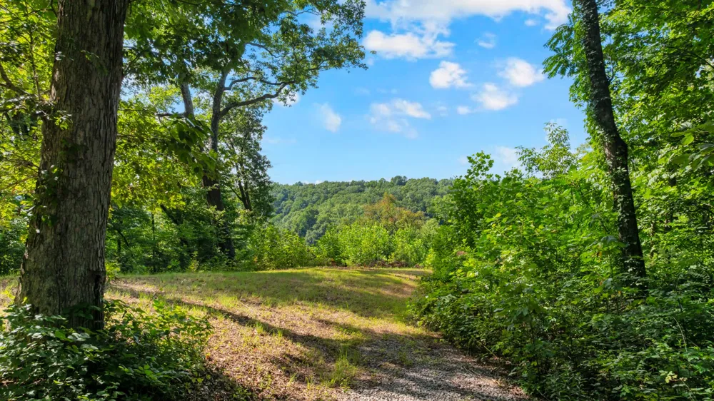 0 Coconut Ridge Road Smithville, TN 37166