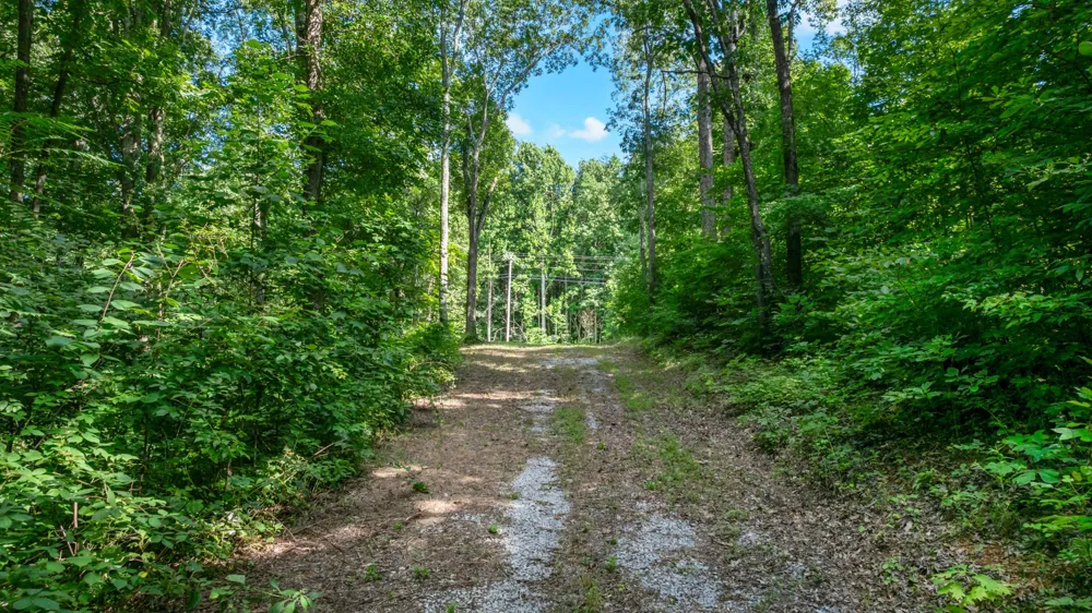 0 Coconut Ridge Road Smithville, TN 37166
