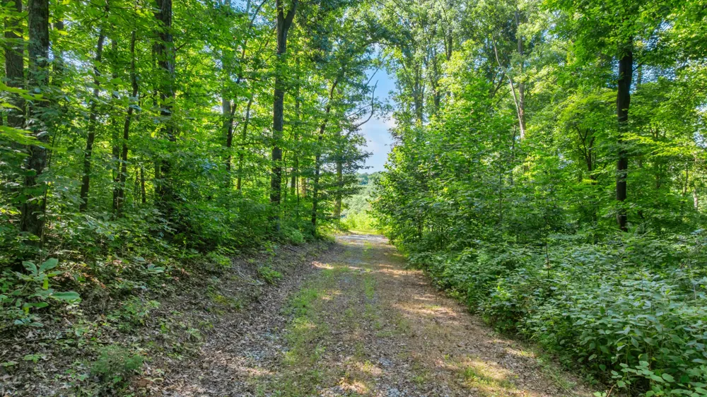 0 Coconut Ridge Road Smithville, TN 37166