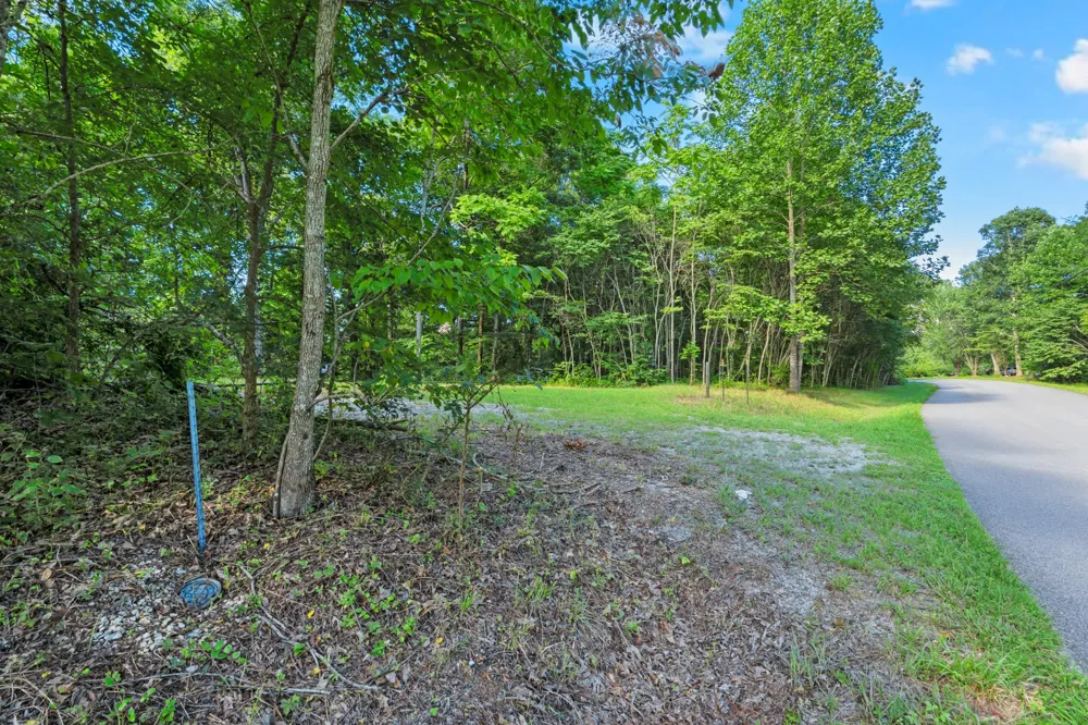 0 Coconut Ridge Road Smithville, TN 37166