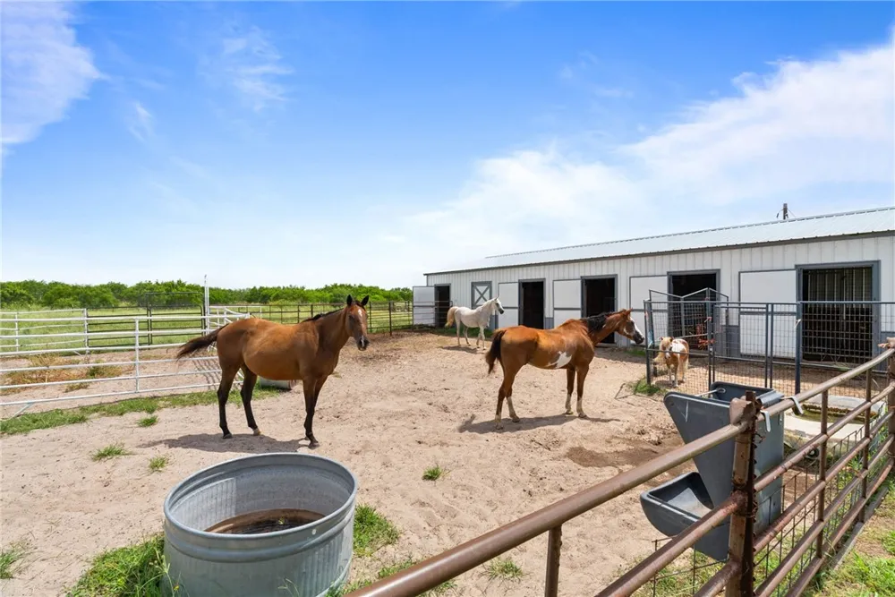 434 E County Road 2270 Riviera, TX 78379