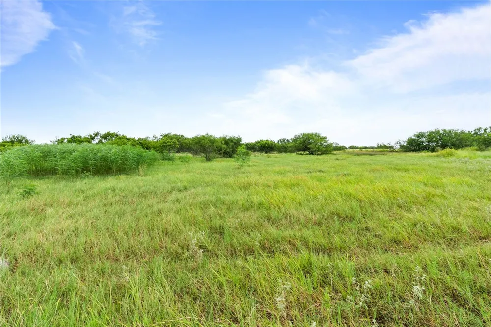 434 E County Road 2270 Riviera, TX 78379