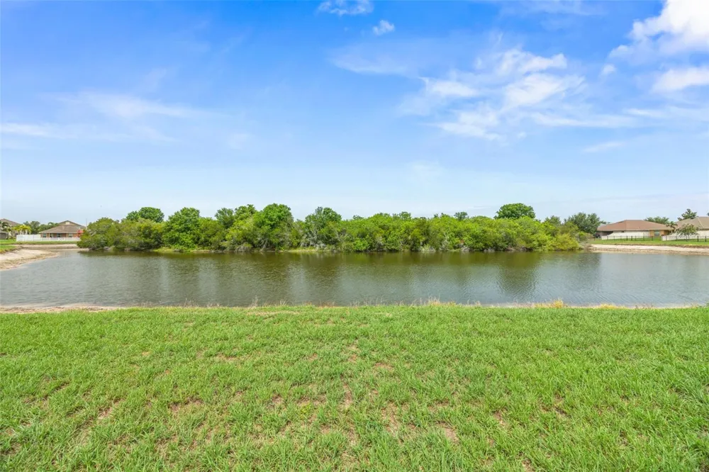 14358 EDINBURGH MOOR DRIVE Wimauma, FL 33598