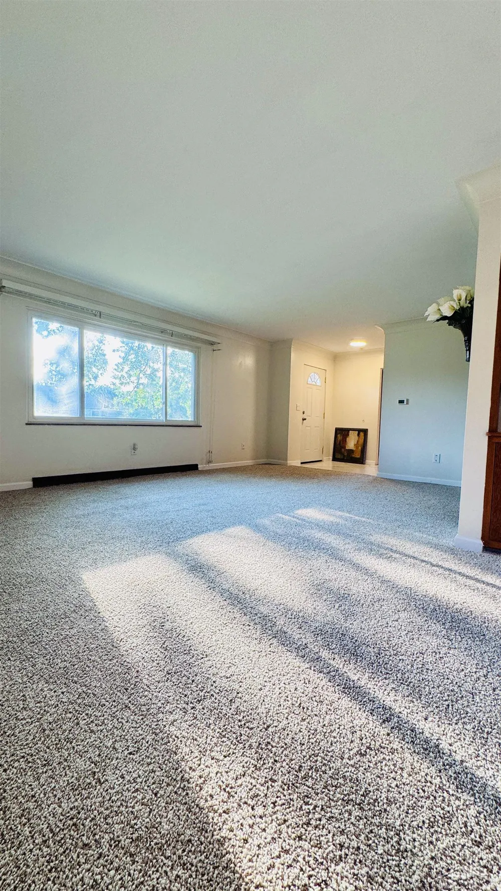352 S 29th Street Buena Vista Charter Township, MI 48601