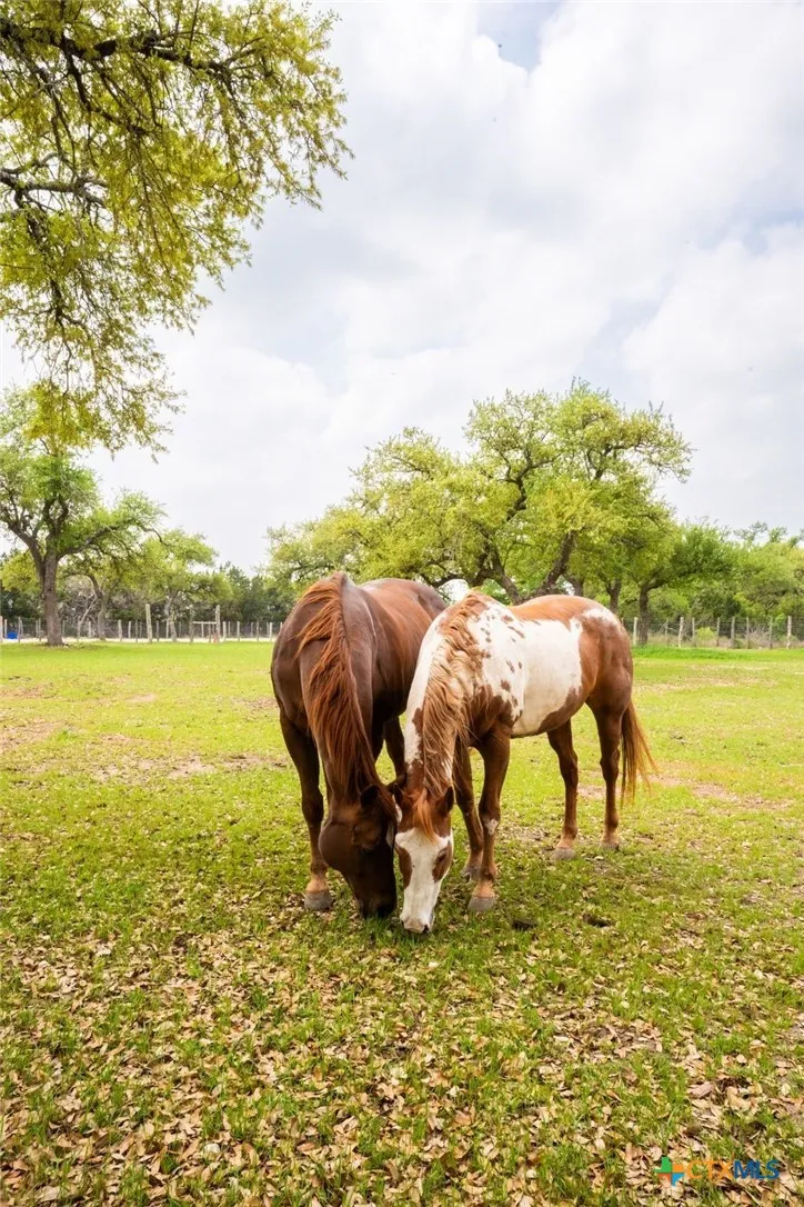 376 San Marcos Trail New Braunfels, TX 78132