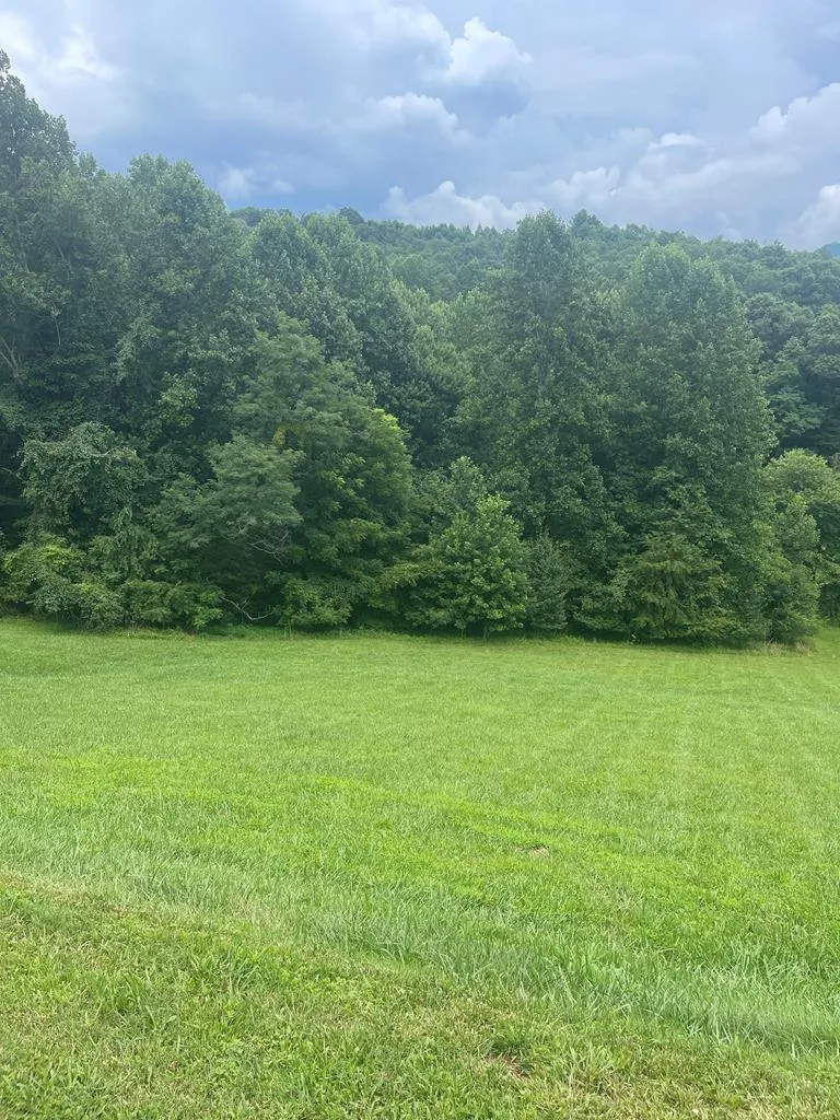 Lot 22C Ash Branch Circle Hayesville, NC 28904