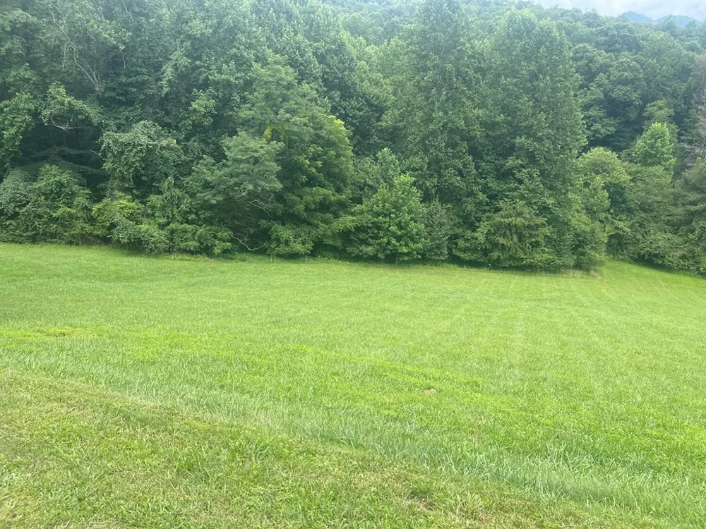 Lot 22C Ash Branch Circle Hayesville, NC 28904