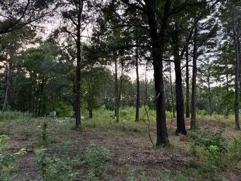 120 Pioneer Trail