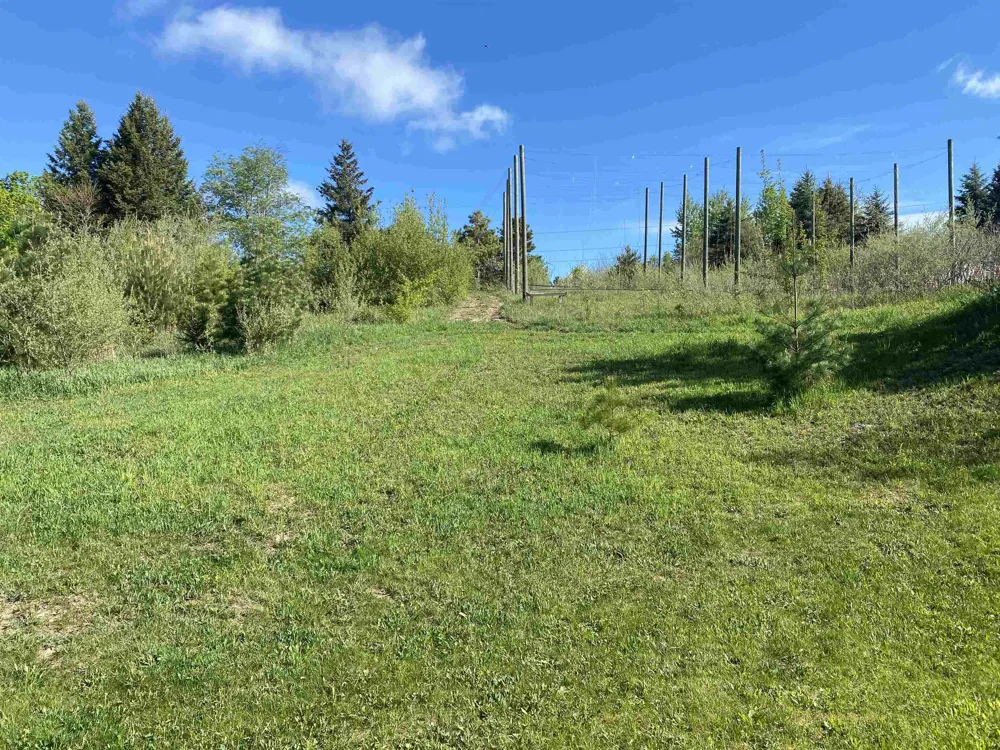 910 Rusch View Ridge Garfield Charter Township, MI 49696