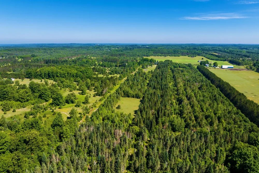 653 W Elder Road Custer Township, MI 49659