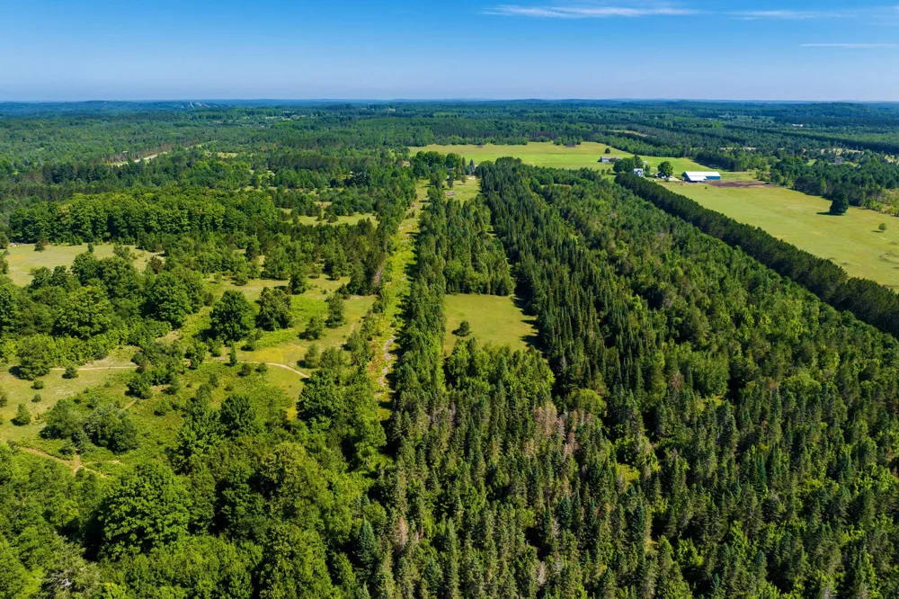 653 W Elder Road Custer Township, MI 49659