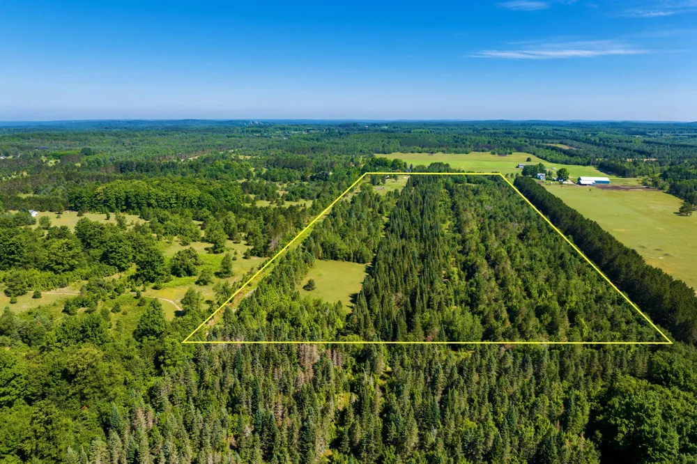653 W Elder Road Custer Township, MI 49659