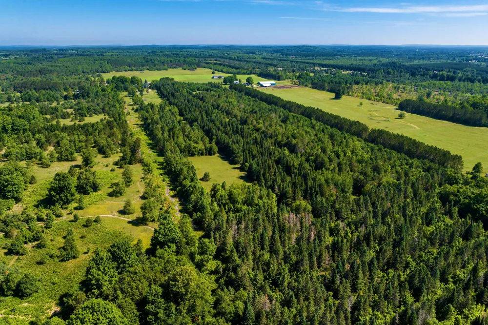 653 W Elder Road Custer Township, MI 49659