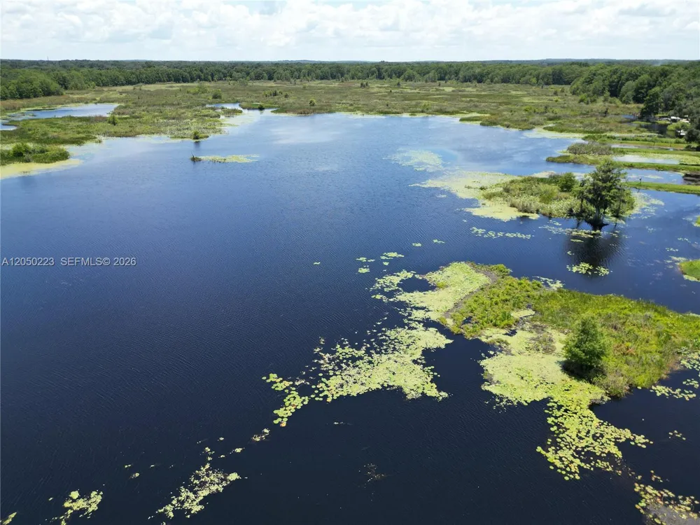 8781 S LAKESHORE DR FLORAL CITY Other City - In The State Of Florida, FL 34436