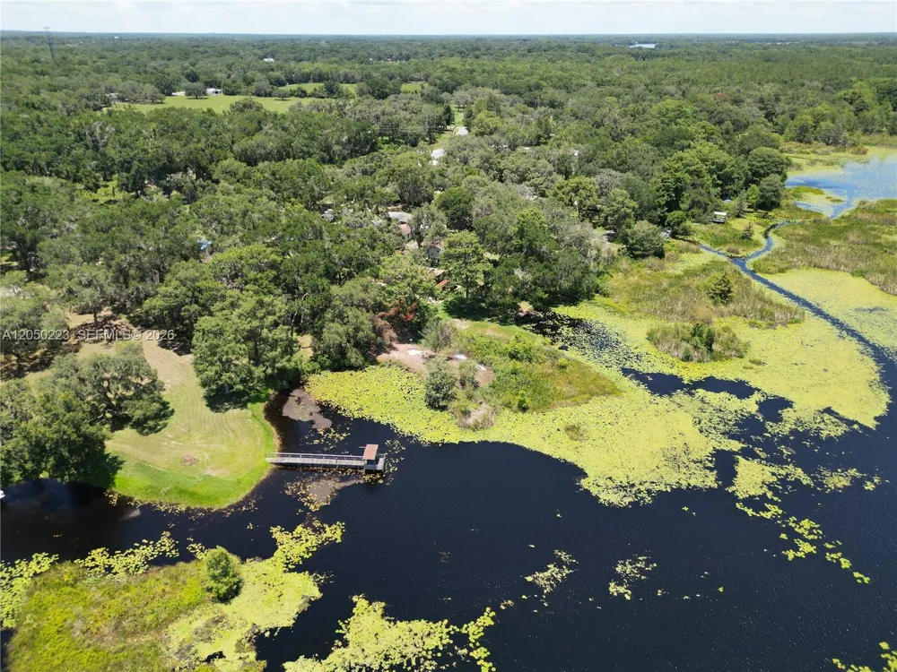 8781 S LAKESHORE DR FLORAL CITY Other City - In The State Of Florida, FL 34436