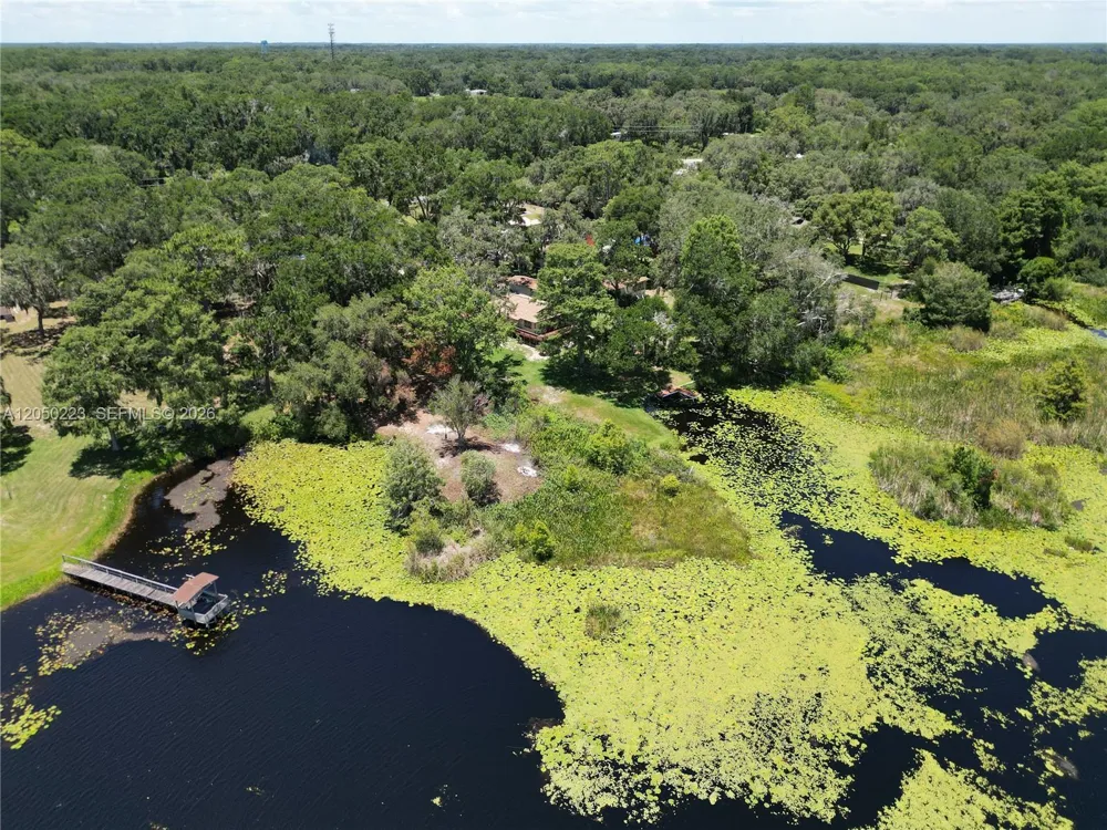 8781 S LAKESHORE DR FLORAL CITY Other City - In The State Of Florida, FL 34436