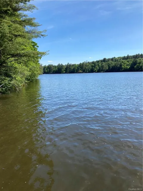 Plank Road  Forestburg New York