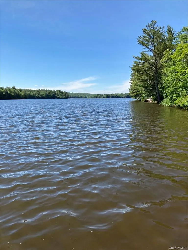 Plank Road  Forestburg New York Forestburgh, NY 12777