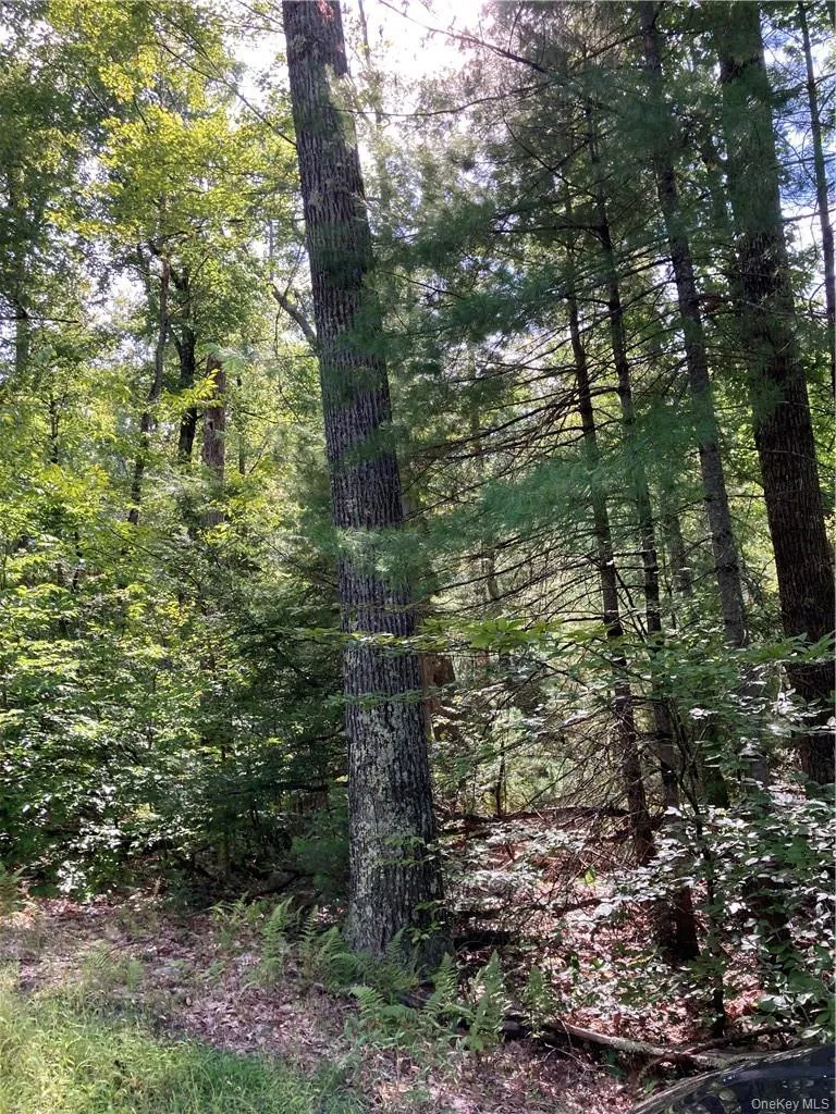 Plank Road  Forestburg New York Forestburgh, NY 12777