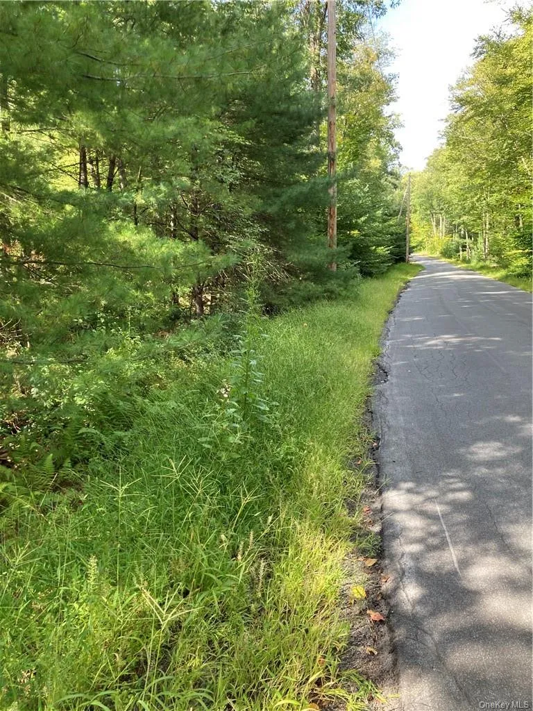 Plank Road  Forestburg New York Forestburgh, NY 12777