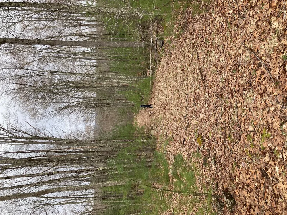 Plank Road  Forestburg New York Forestburgh, NY 12777