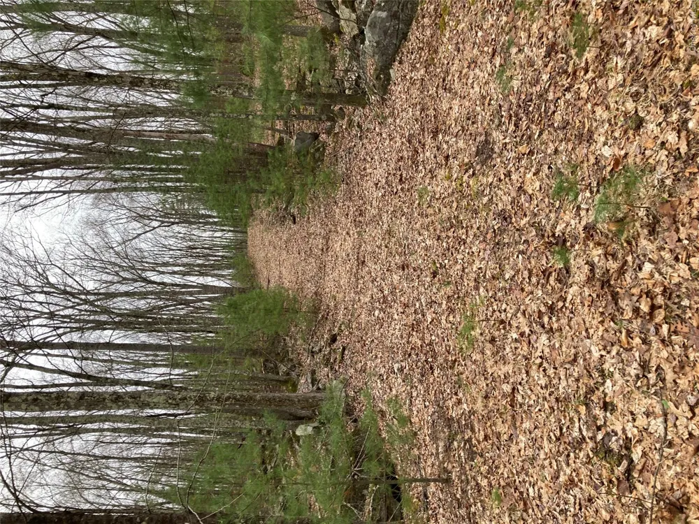 Plank Road  Forestburg New York Forestburgh, NY 12777