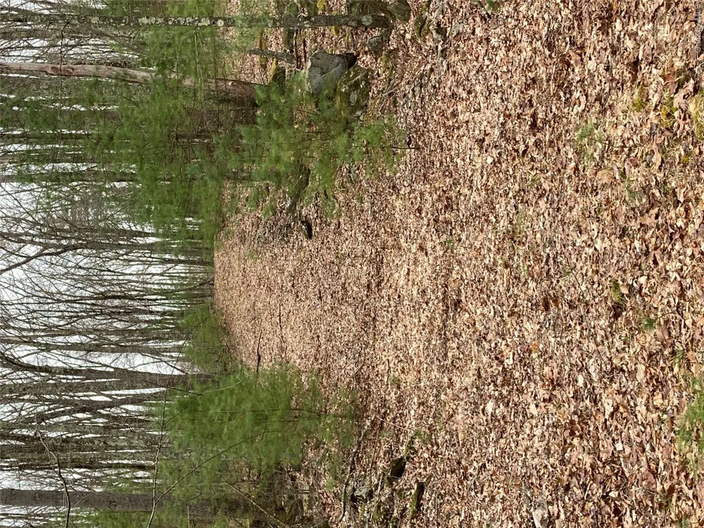 Plank Road  Forestburg New York Forestburgh, NY 12777