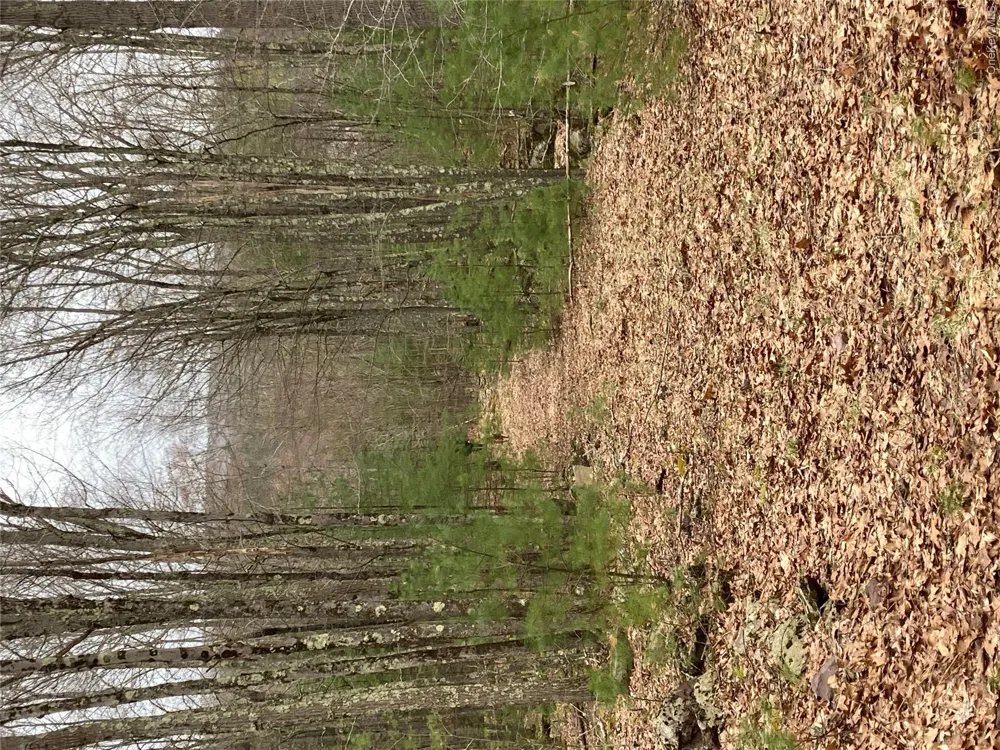 Plank Road  Forestburg New York Forestburgh, NY 12777