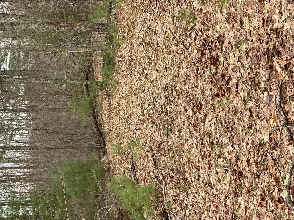 Plank Road  Forestburg New York Forestburgh, NY 12777
