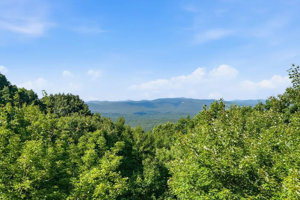 84 Fox Claw Knoll Big Canoe, GA 30143