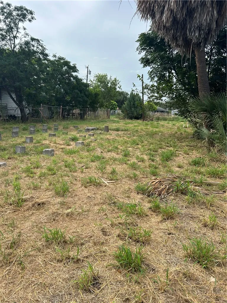 415 W Avenue D Robstown, TX 78380
