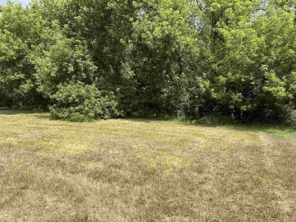 307 Red Maple Lane Shepherd Village, MI 48883