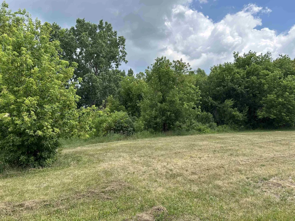 307 Red Maple Lane Shepherd Village, MI 48883