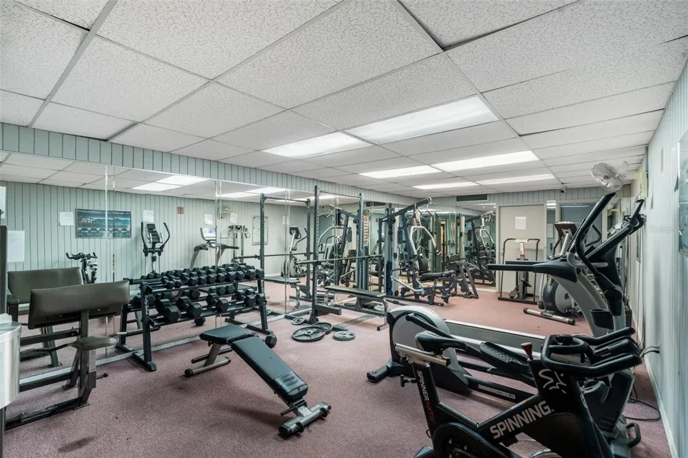 2811 SW ARCHER ROAD #P131 Gainesville, FL 32608
