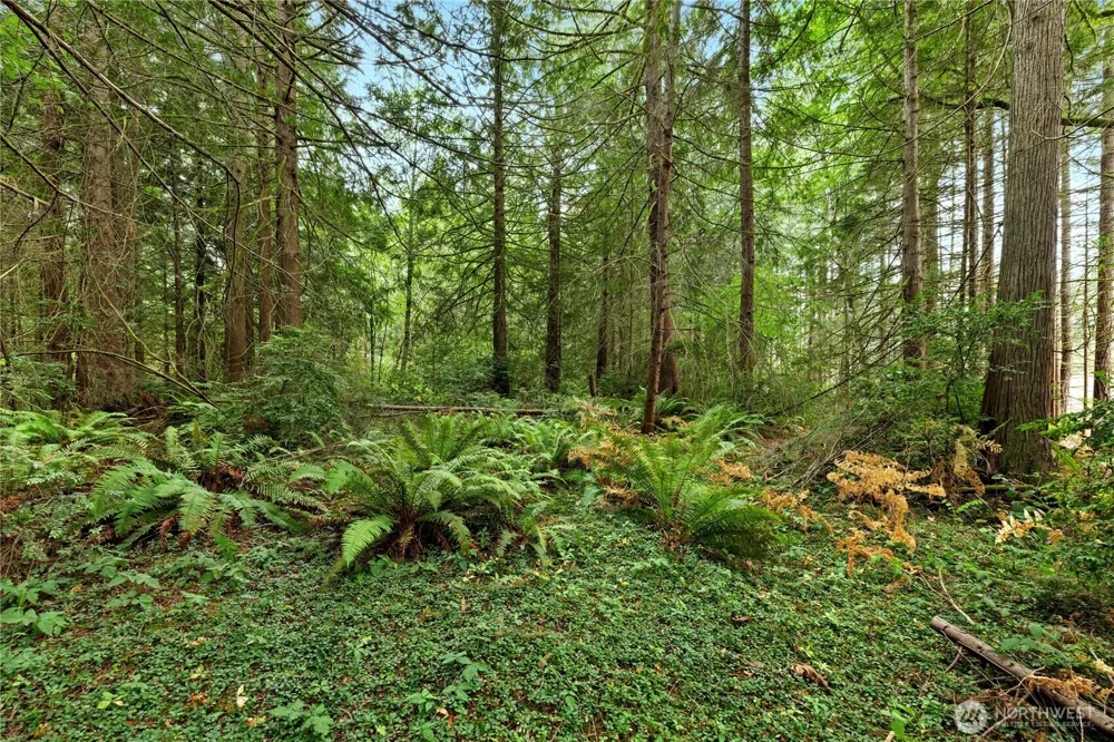 19301 Viking Avenue NW Poulsbo, WA 98370
