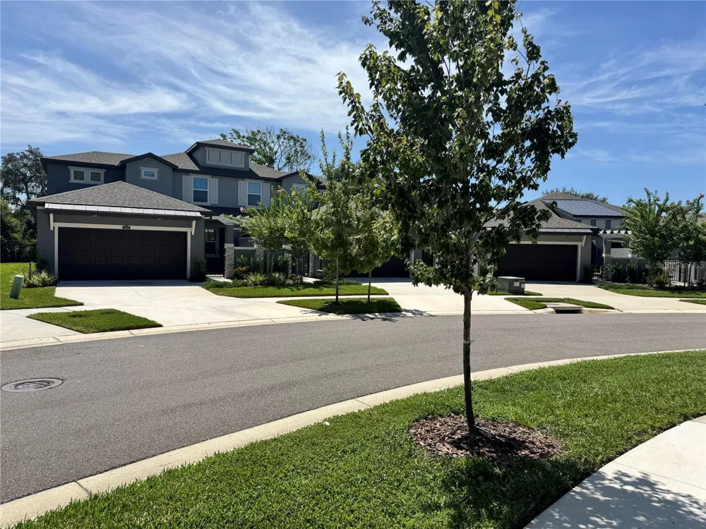 345 VILLA CORTE DRIVE Lutz, FL 33549