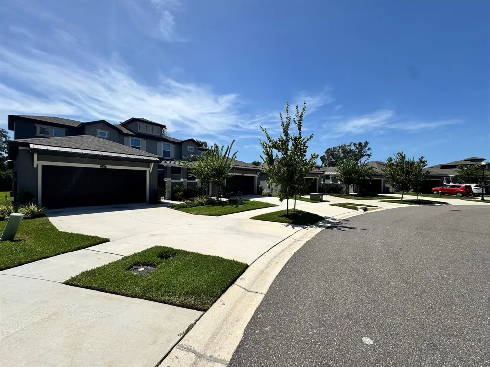 345 VILLA CORTE DRIVE Lutz, FL 33549