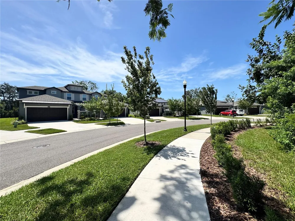 345 VILLA CORTE DRIVE Lutz, FL 33549
