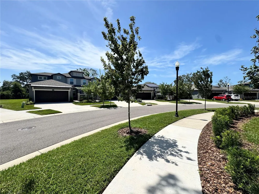 345 VILLA CORTE DRIVE Lutz, FL 33549