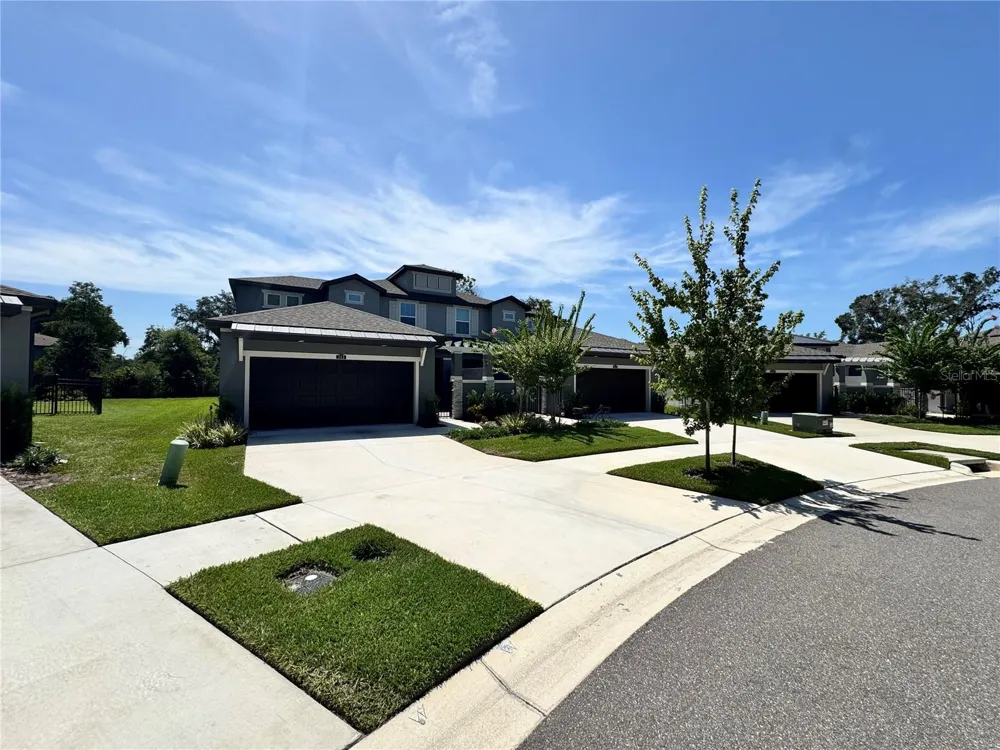 345 VILLA CORTE DRIVE Lutz, FL 33549