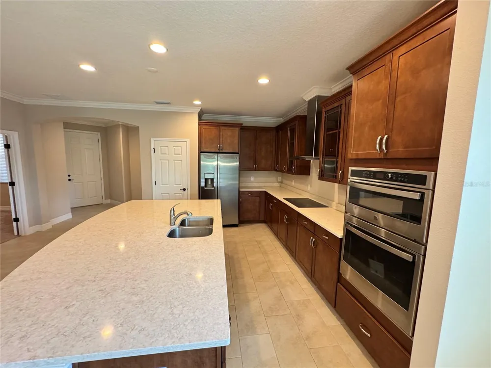 345 VILLA CORTE DRIVE Lutz, FL 33549