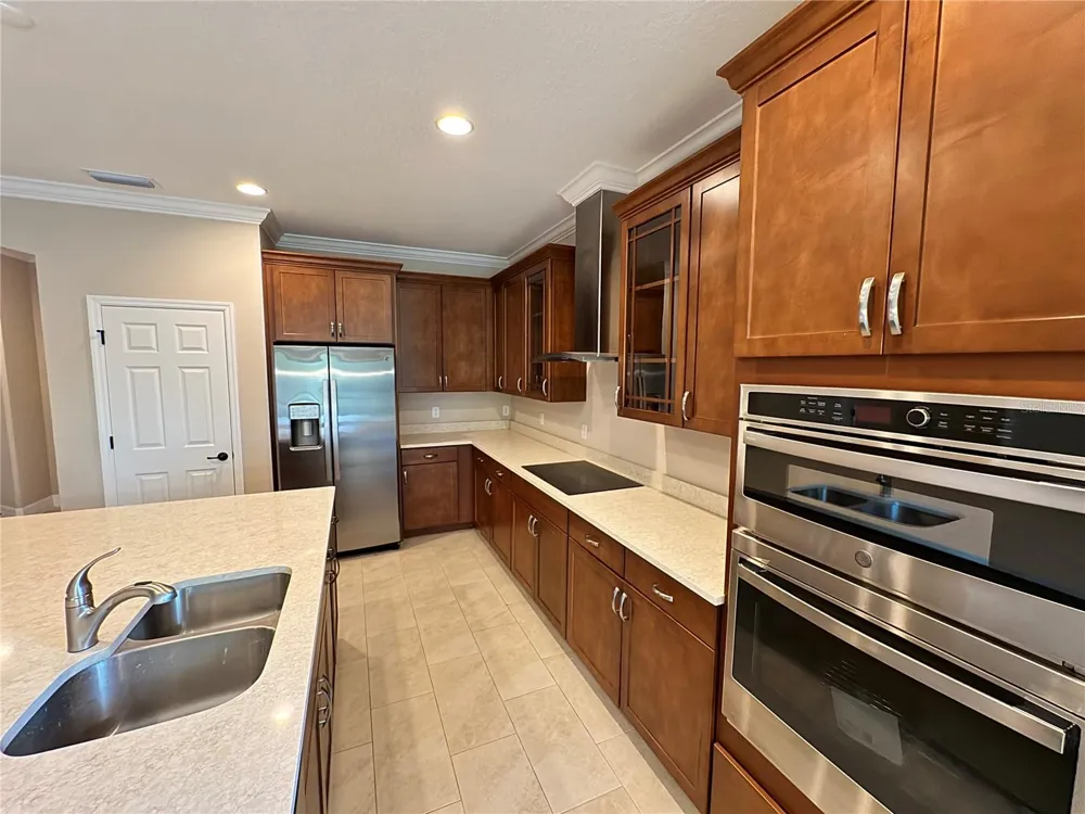 345 VILLA CORTE DRIVE Lutz, FL 33549