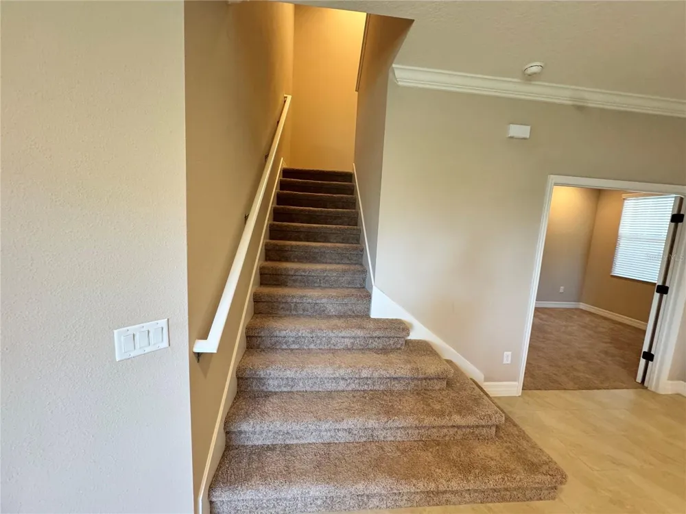 345 VILLA CORTE DRIVE Lutz, FL 33549