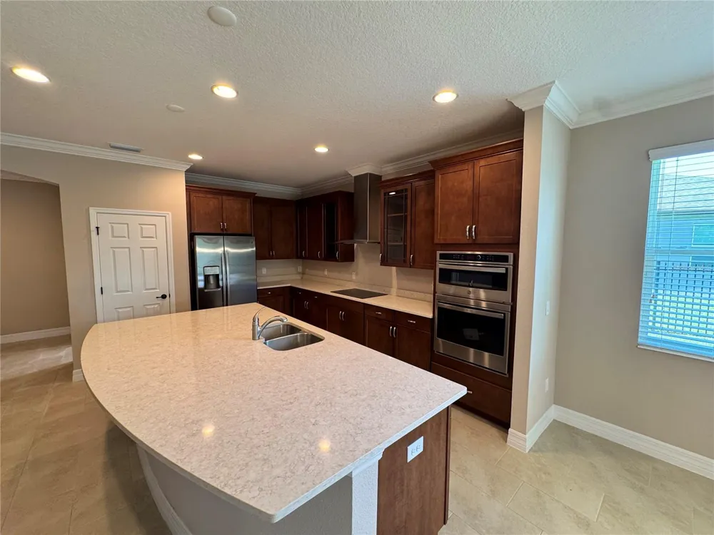 345 VILLA CORTE DRIVE Lutz, FL 33549