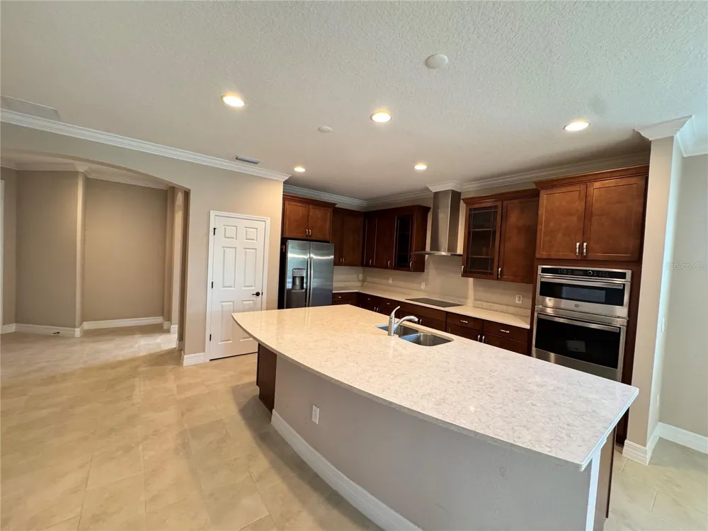 345 VILLA CORTE DRIVE Lutz, FL 33549
