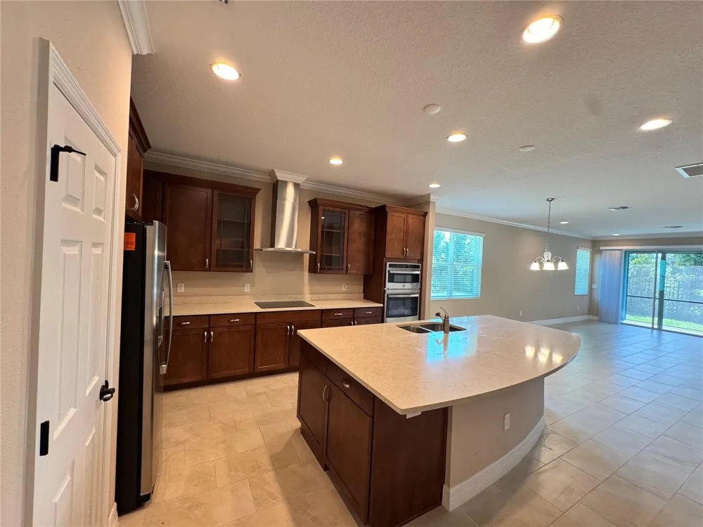 345 VILLA CORTE DRIVE Lutz, FL 33549