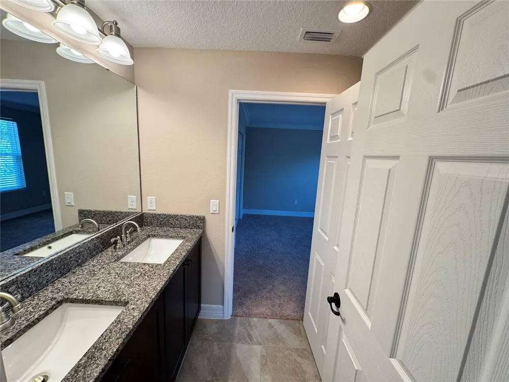 345 VILLA CORTE DRIVE Lutz, FL 33549