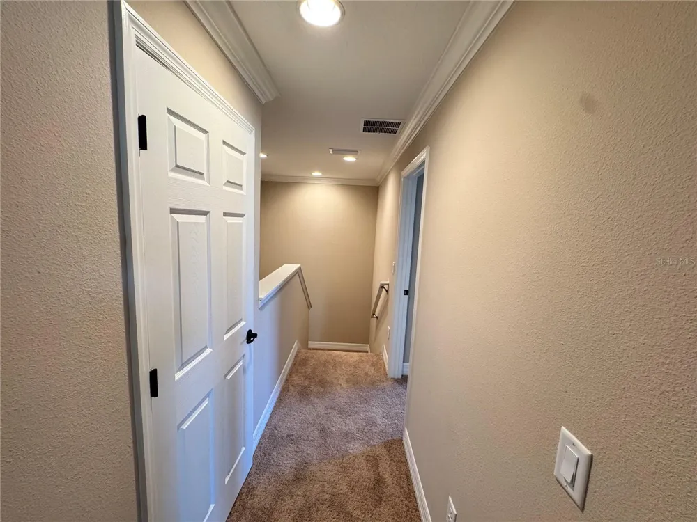 345 VILLA CORTE DRIVE Lutz, FL 33549