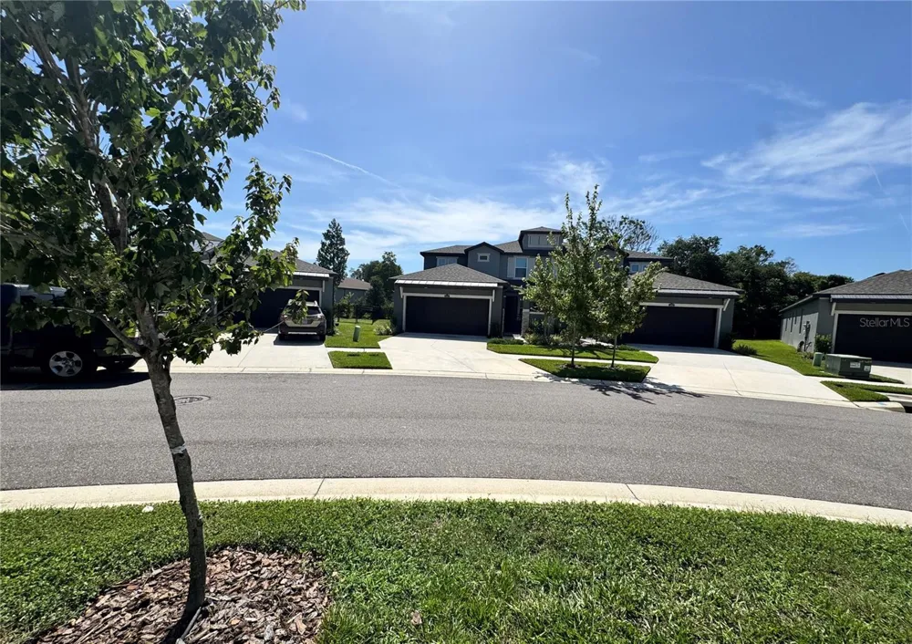 345 VILLA CORTE DRIVE Lutz, FL 33549